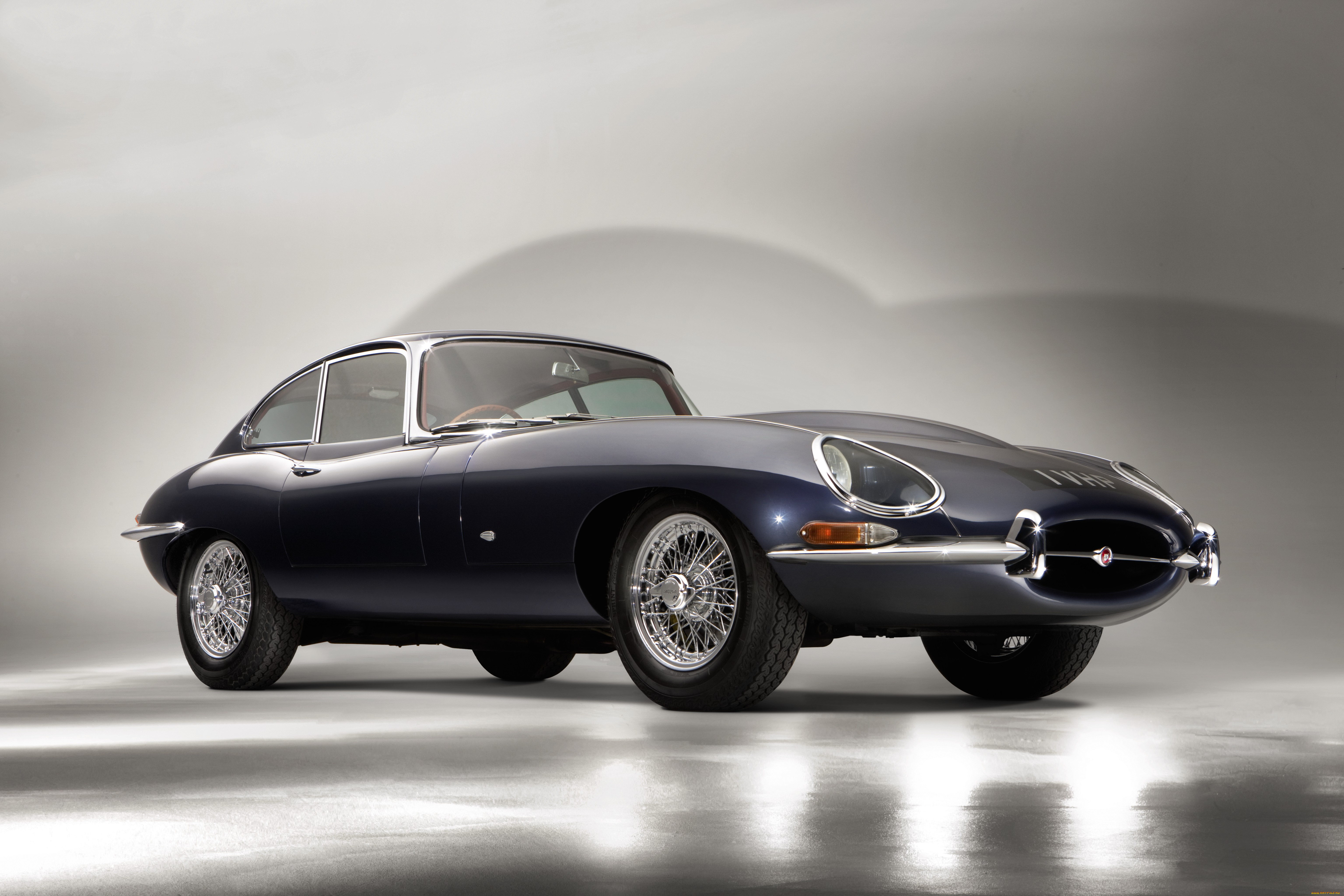 , jaguar